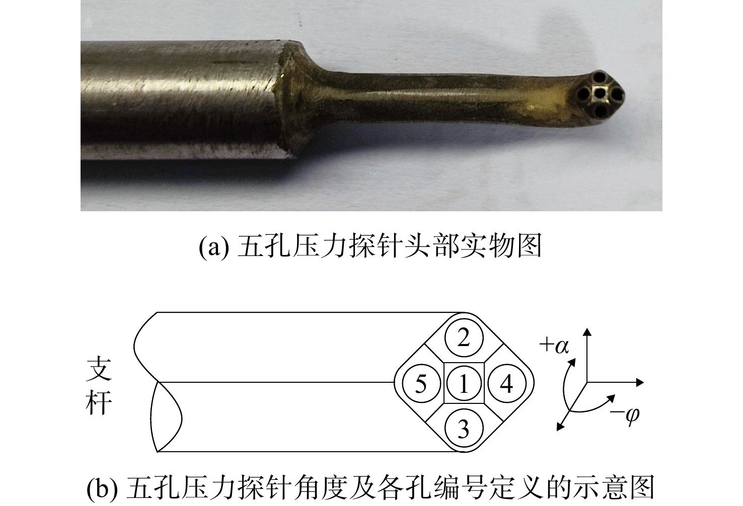 结果表明