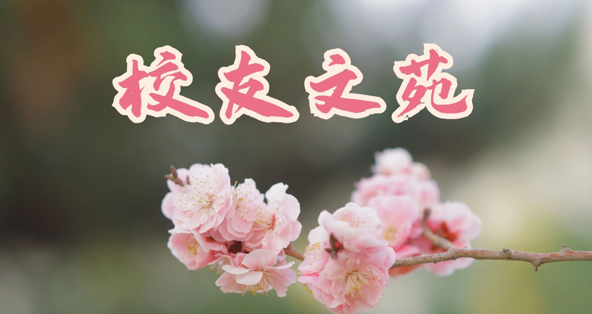 中原体育官网官方渠道副校长邓怡赴云南