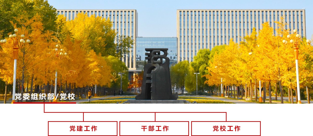 承担中原体育官网新手怎么玩党的建设和